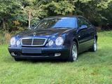 Mercedes-Benz Mercedes CLK 320 Coupe - Mercedes-Benz aus 1998: Clk