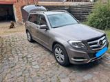 Mercedes-Benz GLK 250 BlueTEC 4MATIC - - Mercedes-Benz GLK-Klasse von privat