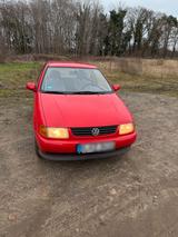 Volkswagen VW Polo  6N - Volkswagen Polo aus 1997