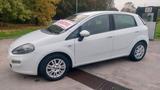 Fiat Punto 1.2 Lounge - Neopatentati - Fiat Punto: Lounge