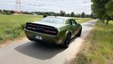 Dodge Challenger SRT Hellcat Widebody /F8-Green/Grail  - Dodge Challenger in Frankfurt (Main)