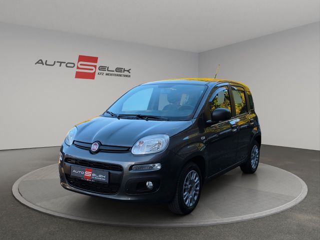 Fiat Panda Easy AUS 1.HAND TÜV SERVICE NEU WENIG KM