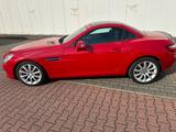 Mercedes-Benz SLK 200 BlueEFFICIENCY - - : Rot, Cabrio