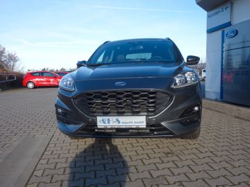 Bild 4 Ford Kuga ST-Line (190 PS)FHEV,NAVI,SHZ