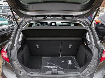 Ford Fiesta 1.0 EcoBoost *Titanium* + Winterpaket + K