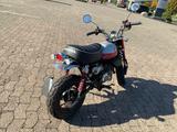 Honda Monkey - Offers matching your search criteria