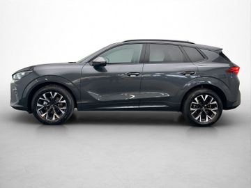 Cupra Terramar - 5