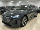 Audi Q8 e-tron 50 quattro*LED*R-Cam*AHK*ACC*DAB*Navi* - Audi Q8 e-tron Gebrauchtwagen