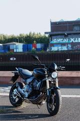 Honda Hornet CB600FA PC41 - HONDA HORNET 600 PC41