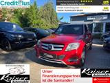 Mercedes-Benz GLK 250 CDI BlueTec 4Matic Facelift-Sport Paket- - Mercedes-Benz: Glk Facelift