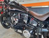 Harley-Davidson FXST Springer Softail mit Evo - HARLEY-DAVIDSON EVO