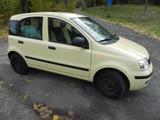 Fiat Panda/Klima/TÜV 11.26/ 26€ Kfz-Steuer im Jahr - Fiat Panda in Dresden