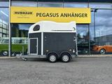 Cheval Liberte Gold First 2 Pferdeanhänger Aluboden - Alu Pferdeanhänger