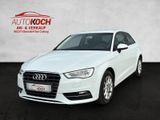Audi A3 1.6 TDI  Attraction  Navi Xenon PDC SHZ LED - Audi A3 mit Diesel-Antrieb: Limousine, 1.6