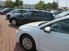 VW Golf VIII Lim. 1.5 TSI Bild 4