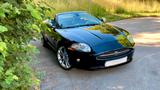 Jaguar XK 4.2L V8 Cabriolet - Nur 65 tkm/TÜV &Serv. neu - Jaguar Gebrauchtwagen von 2006