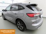 Ford Kuga 2.5 FHEV ST-Line X LED+Winterpaket+Kam.+AHK - Ford Kuga FHEV Gebrauchtwagen