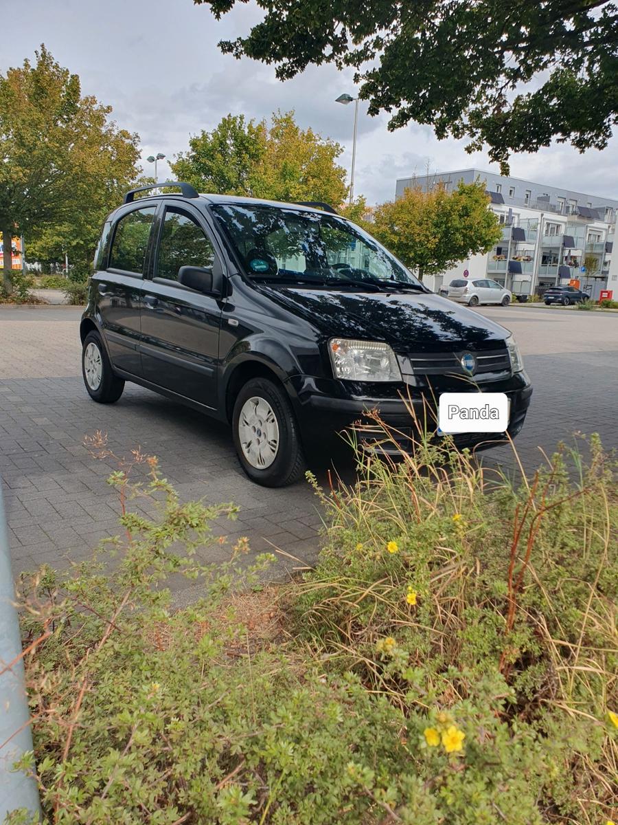 Fiat Panda 2007 — photo 6