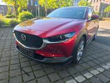 Mazda CX-30 SKYACTİV-X 2.0 M-HYBRID Select... - Mazda CX-30 in Duisburg