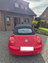 Volkswagen Beetle Cabrio - : Volkswagen Beetle Cabrio 2004