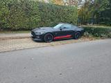 Ford Mustang 5.0 Ti-VCT V8 GT Remiport - Ford Mustang: 5.0