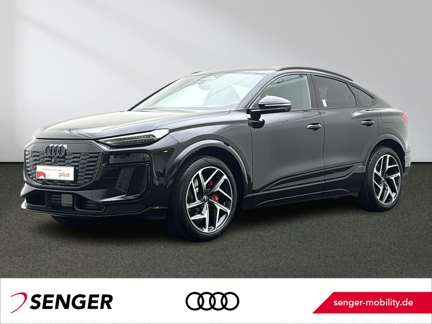 Audi SQ6 e-tron Sportback Exterieur-Paket Navi Matrix