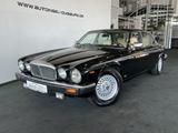 Jaguar XJ V12 Serie III H-Zulassung Schiebedach TOP - Jaguar: 12