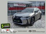 Lexus UX 250 h Style Edition zuverlässiger Crossover - Lexus UX in München