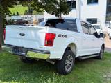 Ford F 150 3.5l V6 Lariat 4x4*Klima*Sitzklima*Memory* - Ford F 150: Lariat