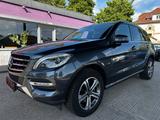 Mercedes-Benz ML 250  CDI BlueTec "AHK"Navi"HU/AU Neu" - Mercedes-Benz ML 250 aus 2012