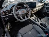 Cupra Leon 1.5 eTSI DSG/NAVI/MATRIX/SHZ/BEATS - Cupra: Kleinwagen