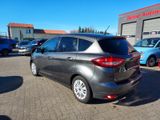 Ford C-Max/NAVI/PDC/TEMPO/SH/FRONTHZG/LENKRADHZG - Ford C-Max aus 2017