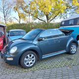 Volkswagen New Beetle 1.4 Cabriolet Standard - Volkswagen New Beetle Standard mit Benzin-Antrieb