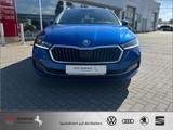 Skoda Octavia 2.0 TDI Selection Plus Kamera*Head-UP - Skoda Octavia aus 2024