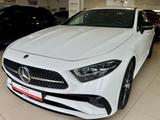 Mercedes-Benz CLS 300 d 4Matic 9G-TRONIC AMG Line - Mercedes-Benz CLS 300 Gebrauchtwagen
