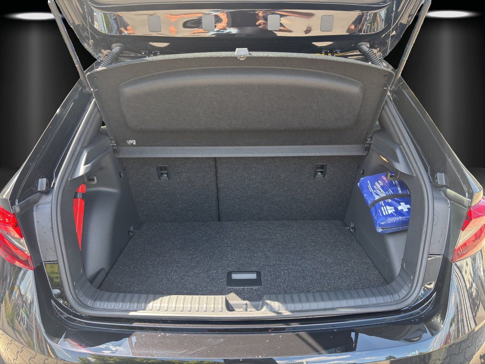 Fahrzeugabbildung SKODA Fabia Monte Carlo 1,0 TSI 85 kW DSG