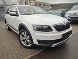 Skoda Octavia Combi Scout 4x4 DSG ACC Bi-Xenon AHK - Skoda Gebrauchtwagen in Pforzheim