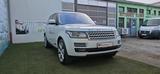 Land Rover Range Rover 4.4 SDV8 Autobiography*Panorama* - Land Rover Range Rover: Weiß