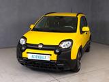Fiat Panda 1.0 Hybrid 70cv Pandina Cross - Fiat Panda Jahreswagen