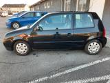 Volkswagen LUPO KLIMA - Volkswagen Lupo: Schwarz