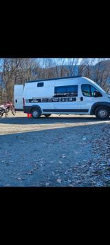 Peugeot Boxer Renntransporter Camper Motocross  Motorrad - Peugeot Boxer: Motor