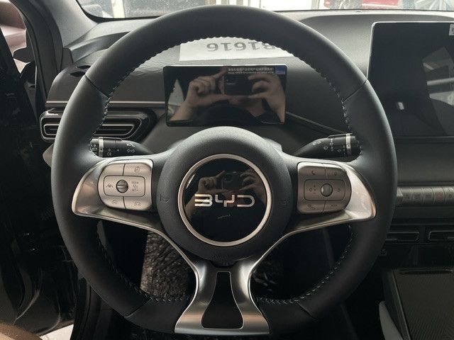 BYD DOLPHIN SURF
