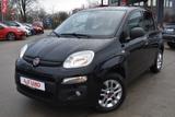 Fiat Panda 1.2i Klima - Fiat Panda: Allradantrieb, 1.1