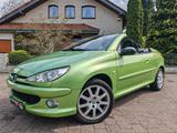 Peugeot Platinum 110/KLIMA/ZAHNRIEMEN&INSPK NEU - gebrauchte Peugeot 206 aus dem Jahr 2004