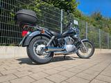 Yamaha Virago XV 250 3LW Baujahr 1999 44500 km - Angebote