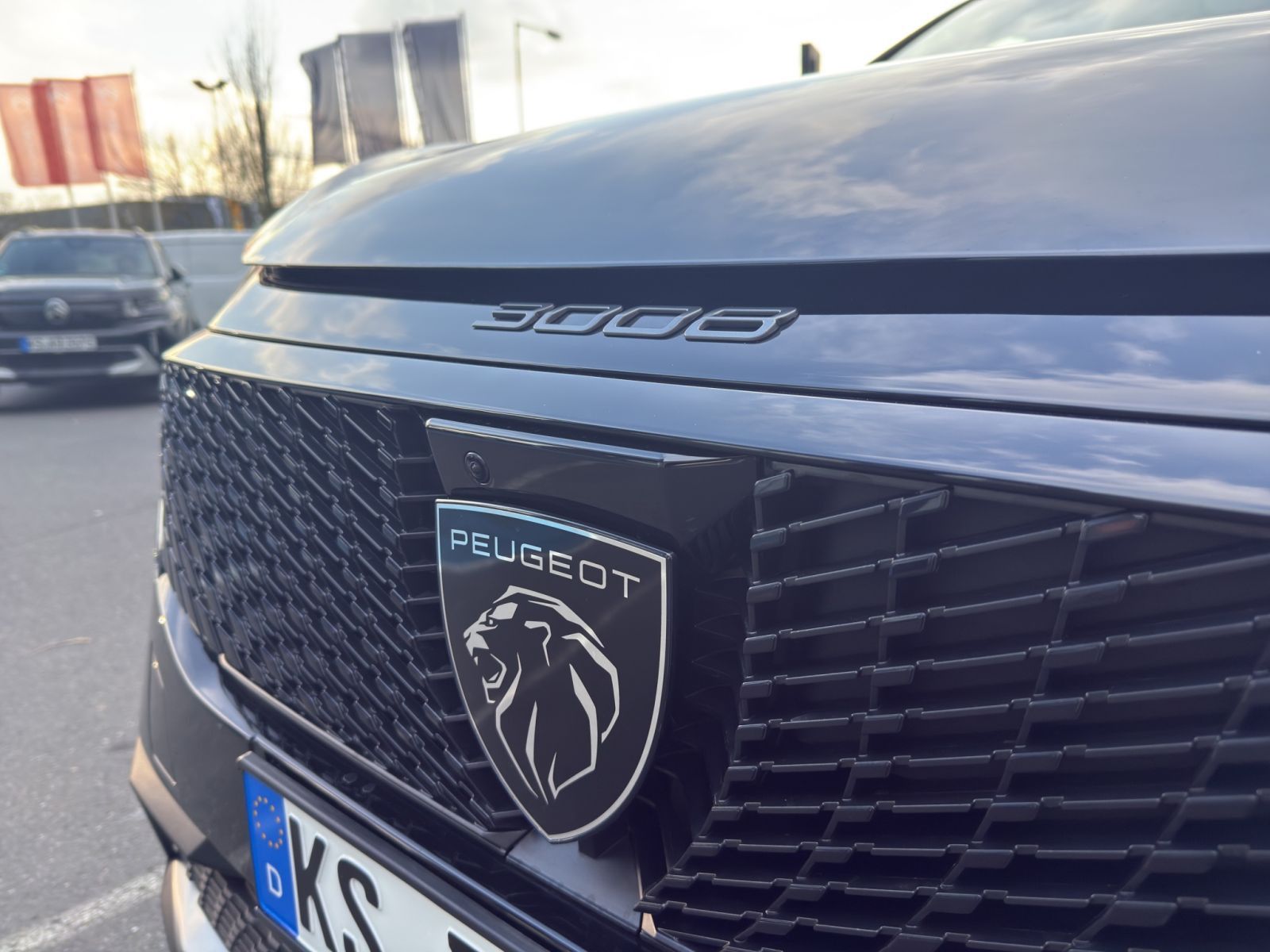 Peugeot 3008 - Bild 15