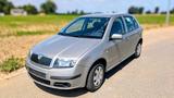 Skoda Škoda Fabia (6Y) - Skoda Fabia 6Y mit Benzin-Antrieb