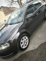 Audi A3 1.6 TDI (DPF) 77kW Ambition Sportback Amb... - Audi A3: Sportback Dpf