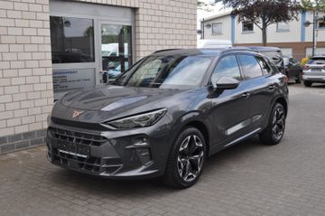 Cupra Terramar - 4
