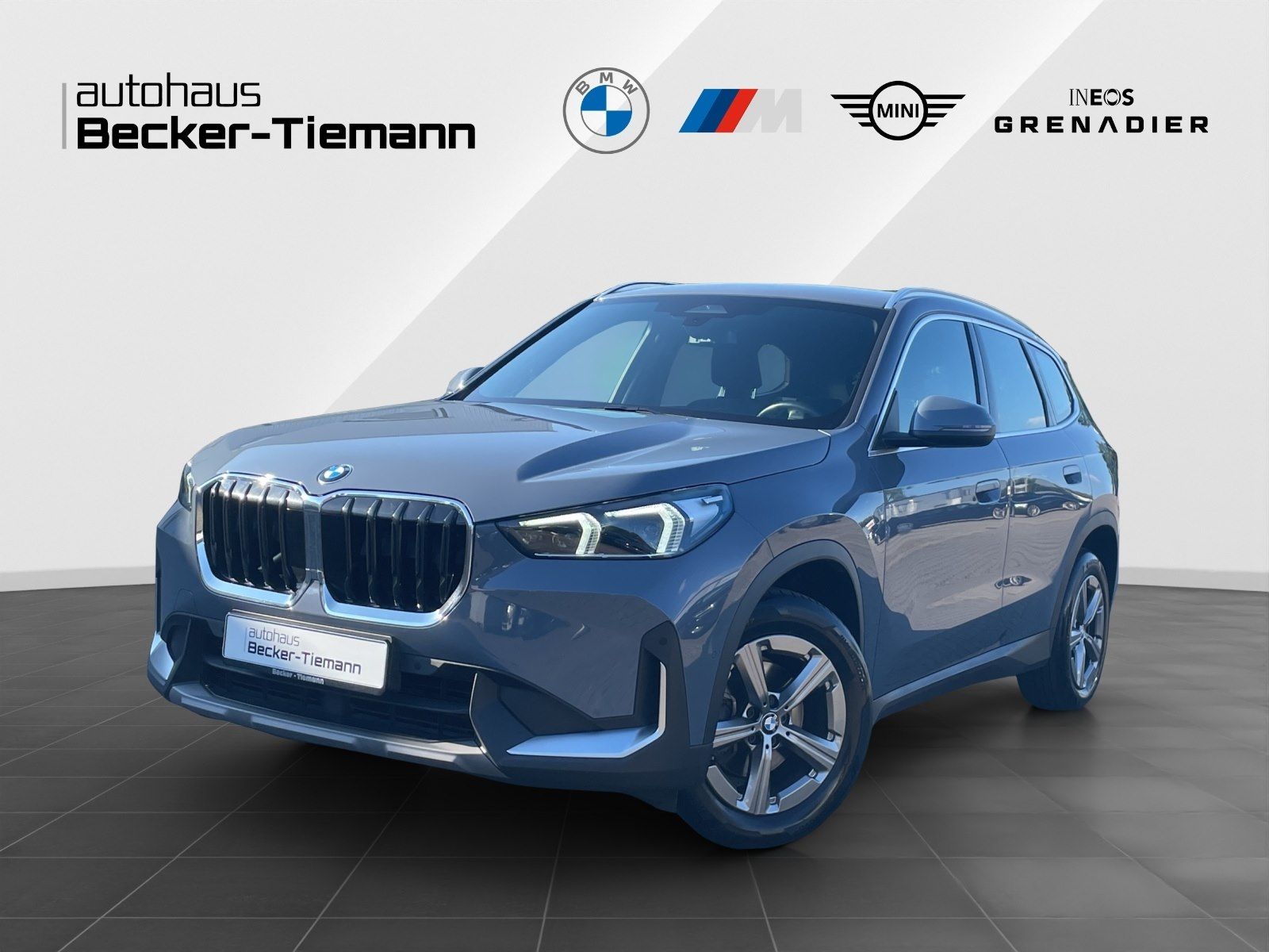 BMW X1 xDrive20d AHK | Driv.Assist.+ | Parkassistenz